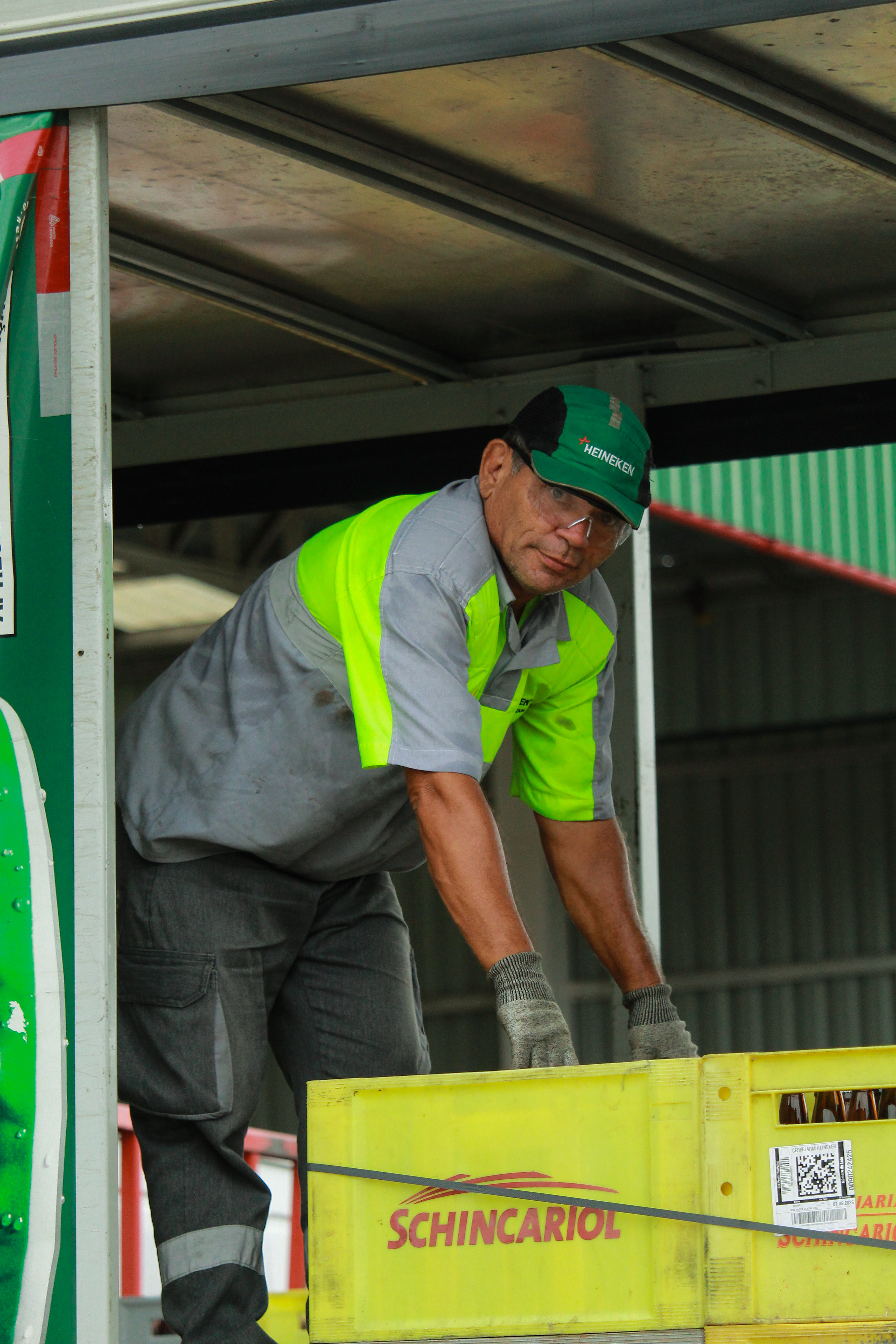 Colaborador North 11